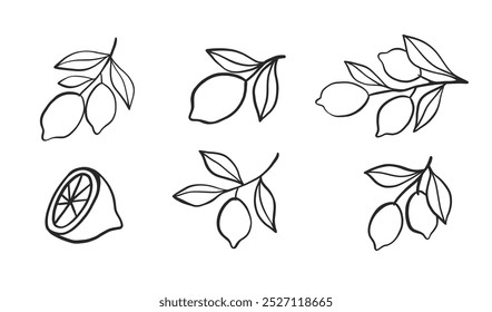 Lemon Branch Collection Sketch Outline Citrus Doodle Icon Clip Art Set. Vector Illustration Isolated on White