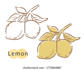 Lemon and branch icon, vector illustration.