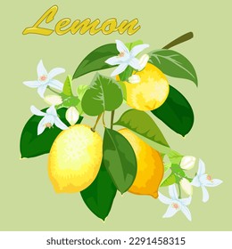 Lemon branch in illustration.Vector illustration with lemons on a colored background.