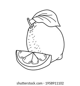 Lemon with a branch with leaves and a slice, wedge on a white isolated background. Vector illustration, drawing in a flat style, cartoon, clipart. Print, stylish, modern, kitchen, textiles.