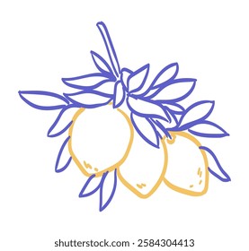 Lemon branch line icon vector illustration. Hand drawn outline citrus with peel and branch with leaves in blue and yellow color. Amalfi or Sicily emblem of ripe lemons drawing in ink doodle style.