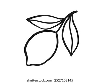 Lemon Branch Sketch Outline Doodle Icon Clip Art Vector Illustration Isolated on White