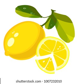 
lemon with branch and slice