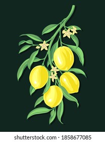 Lemon branch vector colorful illustraition on dark background