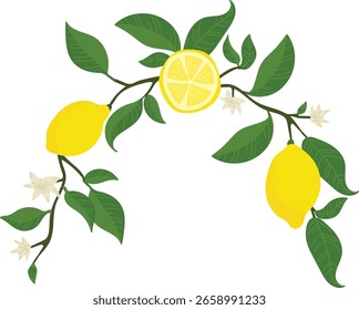 Las ramas de limón con flores forman un arco en un estilo de dibujos animados. Los cítricos y las flores crean un marco decorativo con hojas vibrantes. Ilustración vectorial de dibujos animados.