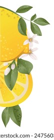 Lemon branches with flowers, Botanical citrus plants. Part 2