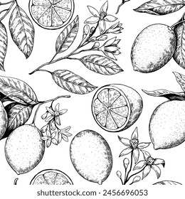 Lemon branches with fruits and flowers drawing in retro engrawing style. Black and white vector illustration.