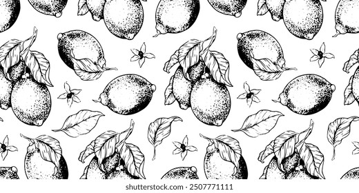 Lemon Branches with fruits leaves, flowers, lemons slices. Hand drawn vector seamless pattern. Print