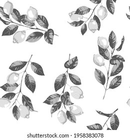 Lemon and branches hatching vector black and white seamless pattern. Repeat background for Italian cuisine design, menu, textile and home prints