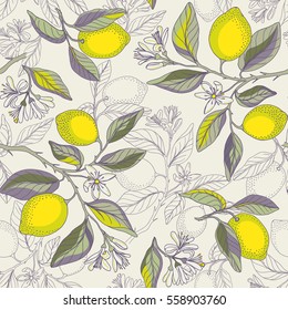 Lemon branches seamless pattern. Beautiful floral background. Botanical citrus plants. Vector illustration.