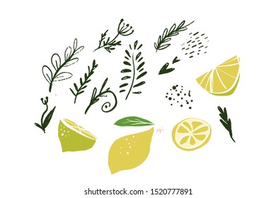 Lemon and branches set. Hand drawn and flat illustration for your design