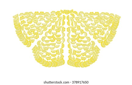 Lemon and butterfly illustration. Slices of lemon in the shape of butterfly.