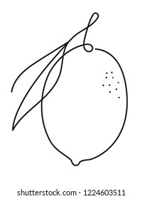 lemon by vector in line art