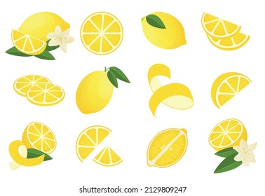 Lemon . Cartoon citrus peel slice half and zest, sour lemonade ingredients. Vector isolated set