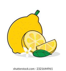 lemon. lemon cartoon icon vector design illustration wallpaper.lemon with leaf. yellow lemon 