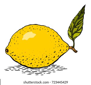 Lemon cartoon image. Artistic freehand drawing.