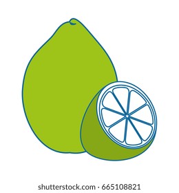Lemon citric fruit