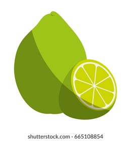 Lemon citric fruit