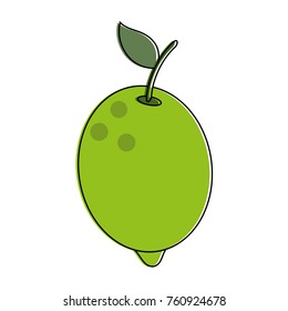 Lemon citric fruit