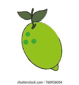 Lemon citric fruit