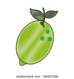 Lemon citric fruit