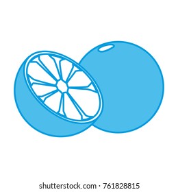 Lemon citric fruit