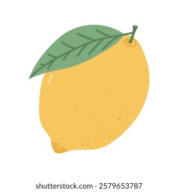 Lemon. citrus. a lemon drawn from different angles. lemonade made from natural lemon. a natural fruit. vector. fruit with vitamin C. sour. acid.