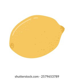 Lemon. citrus. a lemon drawn from different angles. lemonade made from natural lemon. a natural fruit. vector. fruit with vitamin C. sour. acid.