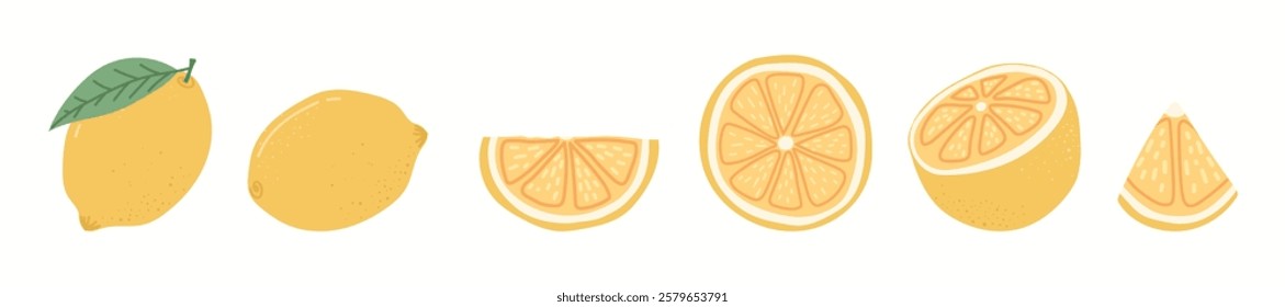 Lemon. citrus. a lemon drawn from different angles. lemonade made from natural lemon. a natural fruit. vector. fruit with vitamin C. sour. acid.