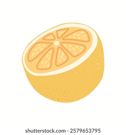 Lemon. citrus. a lemon drawn from different angles. lemonade made from natural lemon. a natural fruit. vector. fruit with vitamin C. sour. acid.