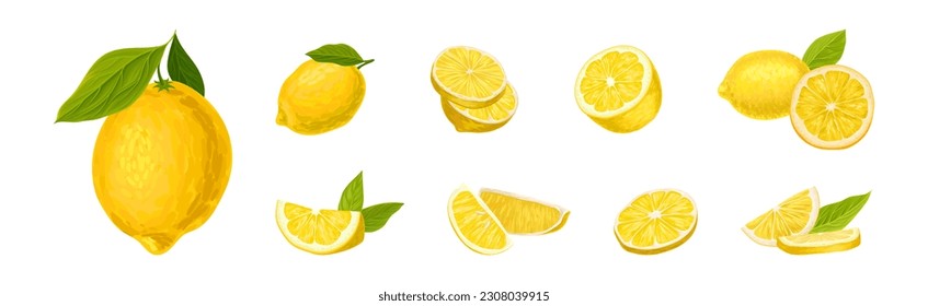 Lemon Citrus Fruit with Green Leaf Vector Set