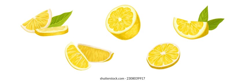 Lemon Citrus Fruit with Green Leaf Vector Set