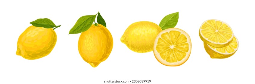 Lemon Citrus Fruit with Green Leaf Vector Set