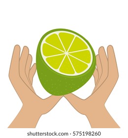 lemon citrus fruit icon