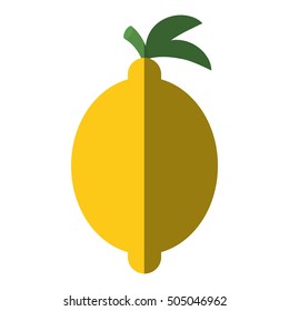 lemon citrus fruit isolated icon vector illustration design