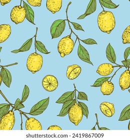 Lemon, citrus fruit. set of realistic vector illustrations, hand drawn, vintage engraving style. 