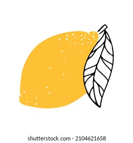 Lemon. Citrus fruit. Vector illustration isolated on a white background.