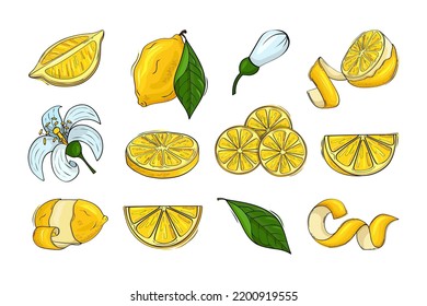 Lemon, citrus fruits, lemonade ingredients, yellow whole fruit, half piece of feel, zest and flowers, green leaves. Sour juice logo, delicious cut food, vitamin C sign. Vector cartoon icons