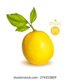 Lemon. Citrus isolated on white background, beautiful fresh fruit. Vector realistic art illustration for advertising, packaging carton, bottle, banner, wallpaper website. Color yellow, green. Colorful