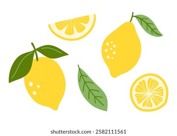 Lemon citrus slice and whole fruit. Set of hand drawn abstract colorful fruits. Natural tropical collection. Vector illustration in modern cute flat cartoon style.