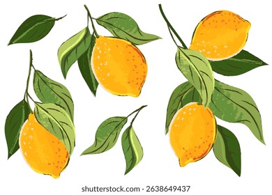 Lemon citrus tropical fruits set. Vector watercolor hand drawn illustration. Lime harvest on branch. Citric isolated vintage print design elements