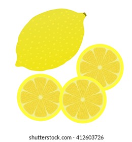Lemon,  citrus. Vector illustration isolated on white background