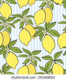 Lemon citrus vector pattern. Botanical vector illustration. Summer background. Floral design. Wallpaper print.