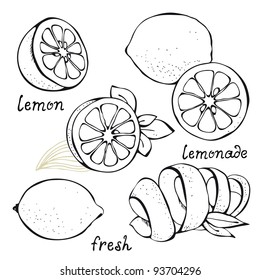 Lemon citrus vector set isolated on white