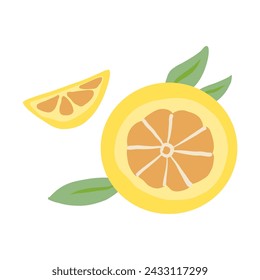 Lemon citrus, whole and slice flat vector icon isolated on white, Organic fresh healthy fruit food ingredient, decorative sign for design pattern, healthy green market, European restaurant menu
