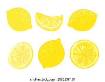 Lemon collection. Hand drawn elements. Vector illustration.