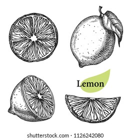 Colección de limón. Fruta dibujada a mano aislada en blanco. Puede ser utilizado para productos veganos, folletos, Anuncio, menú de restaurante, mercado de agricultores y tienda de alimentos orgánicos
