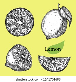 Lemon collection. Hand drawn fruit  Can be used for vegan products, brochures, banner, restaurant menu, farmers market and organic food store