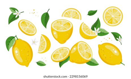 Lemon collection. Tropical set with yellow lemons and lemon slices.
Vector illustration isolated on white background 