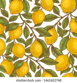 Lemon colored botanical seamless pattern. Engraved style. Vector illustration